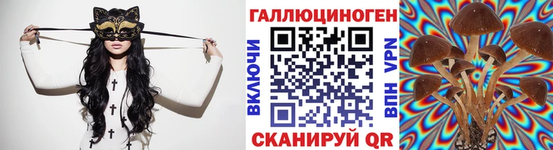 Псилоцибиновые грибы Cubensis  shop Telegram  Сергач  MEGA маркетплейс 